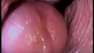 Inside vagina video